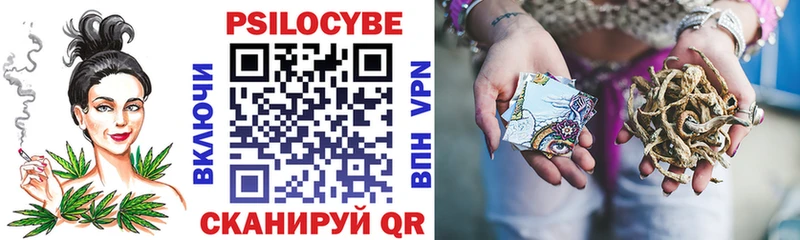 наркошоп  Остров  Псилоцибиновые грибы Psilocybe 